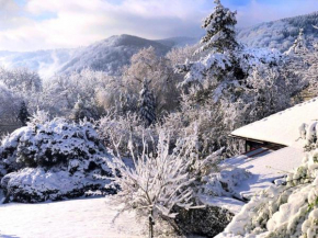 Vintage Chalet in Sougn Remouchamps near Forest
